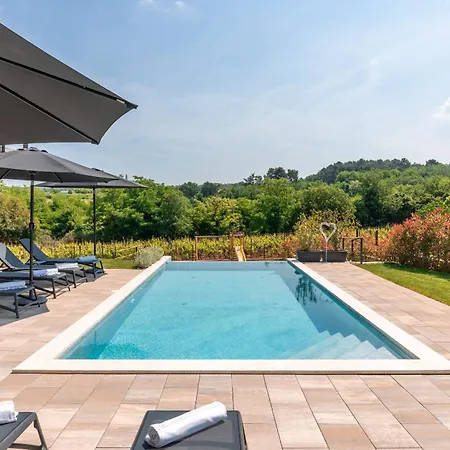 Villa Beautiful Perlin With Pool In Visnjan *