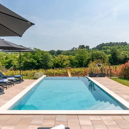 Villa Beautiful Perlin With Pool In Visnjan *
